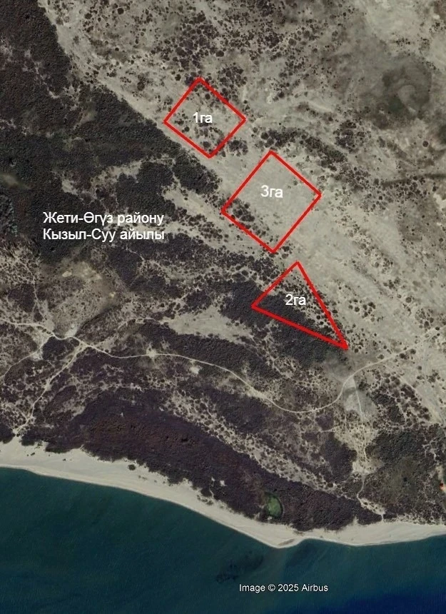 Отданные частникам сельхозземли на Иссык-Куле вернули государству