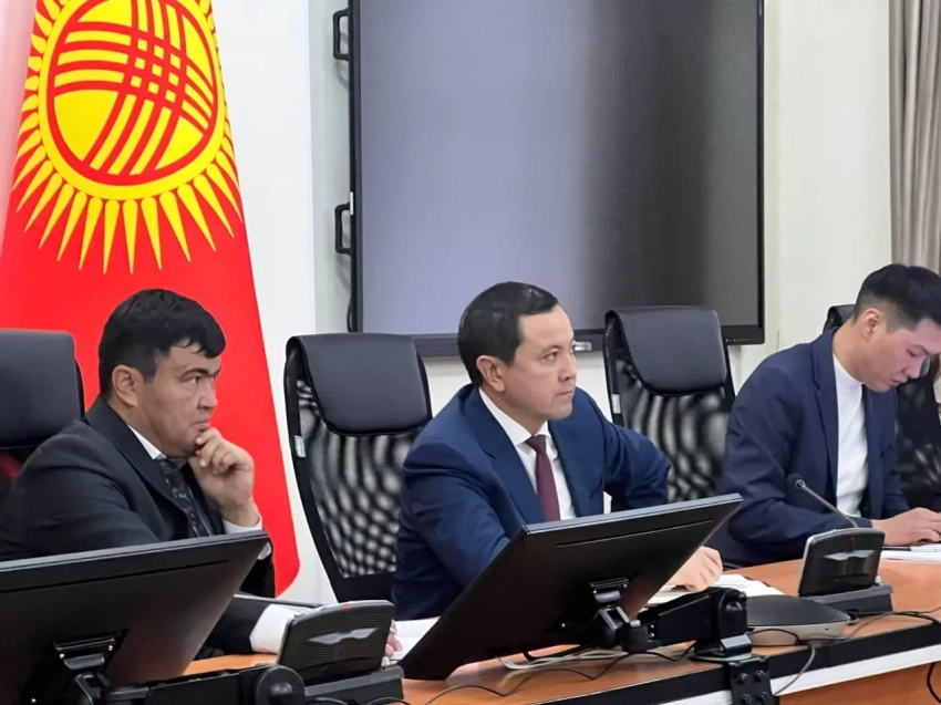 Глава Минздрава Кыргызстана обсудил с частными фармацевтами вопросы обеспечения лекарствами