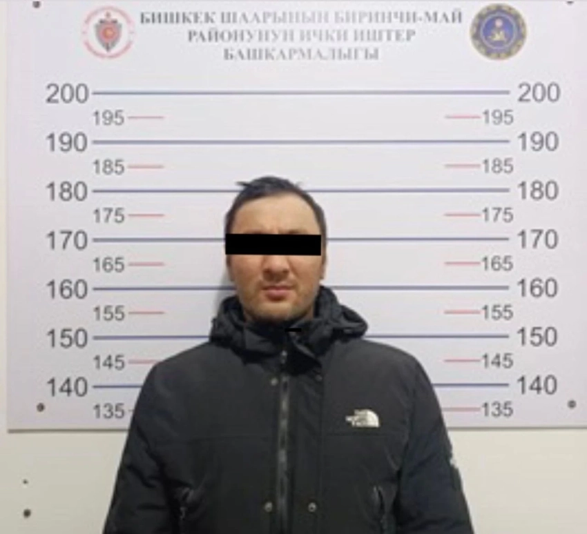 Интернет-мошенничество на 6,5 миллиона сомов. В Бишкеке задержали подозреваемого