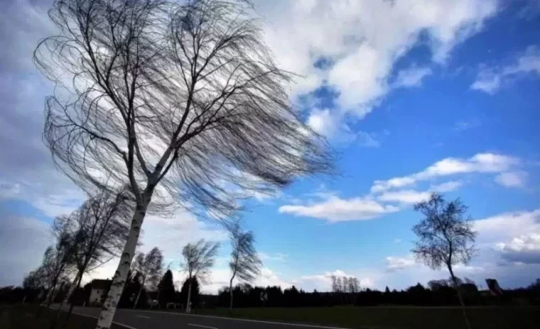 Сильный ветер ожидается в Бишкеке и Чуйской области