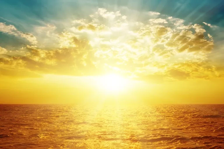 ВМО подтверждает, что 2025 год был одним из самых теплых лет в истории наблюдений