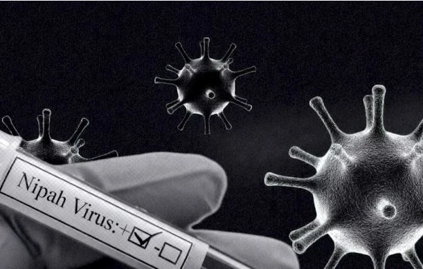 Минздрав усилил контроль на границе из-за риска завоза вируса Нипах