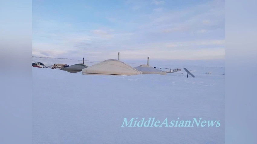 На Монголию обрушился дзуд