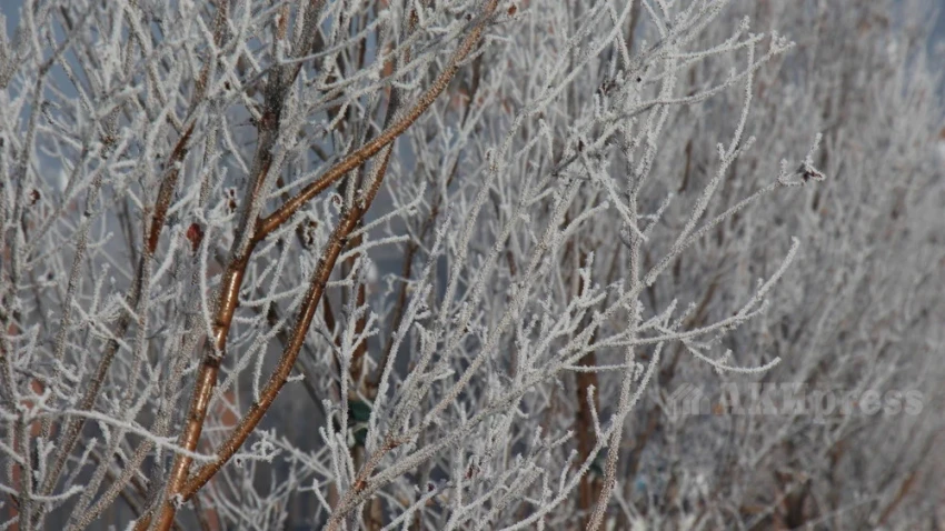 Со среды по Узбекистану ожидаются дожди и снег