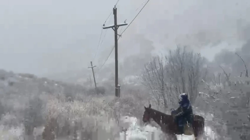На севере и юге Казахстана в ближайшие три дня ожидается снег