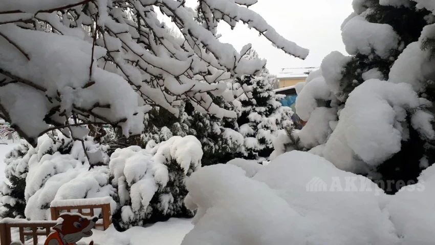 В Афганистане из-за снегопадов и дождей погибли 61 человек, 110 получили травмы