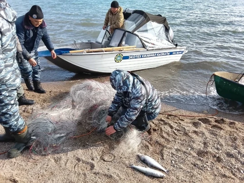 На Иссык-Куле продолжают выявлять и утилизировать браконьерские сети