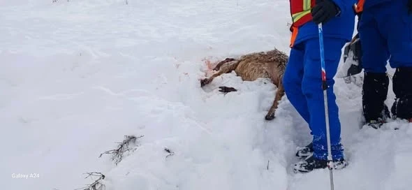 В Суусамыре 55 человек ищут мужчину, пропавшего под лавиной