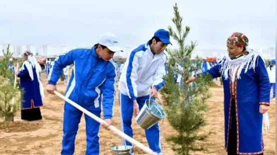 В 2026 году по всему Туркменистану высадят 3 миллиона саженцев деревьев