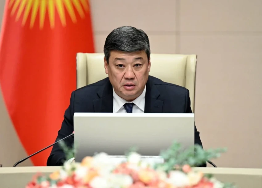 Бакыт Торобаев обсудил вопросы ирригации с международными партнерами по развитию