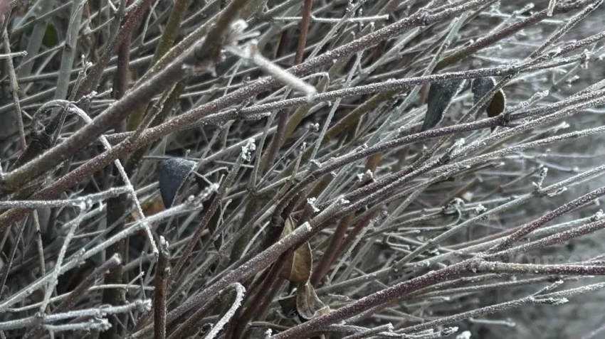 В выходные в Узбекистане снова потеплеет