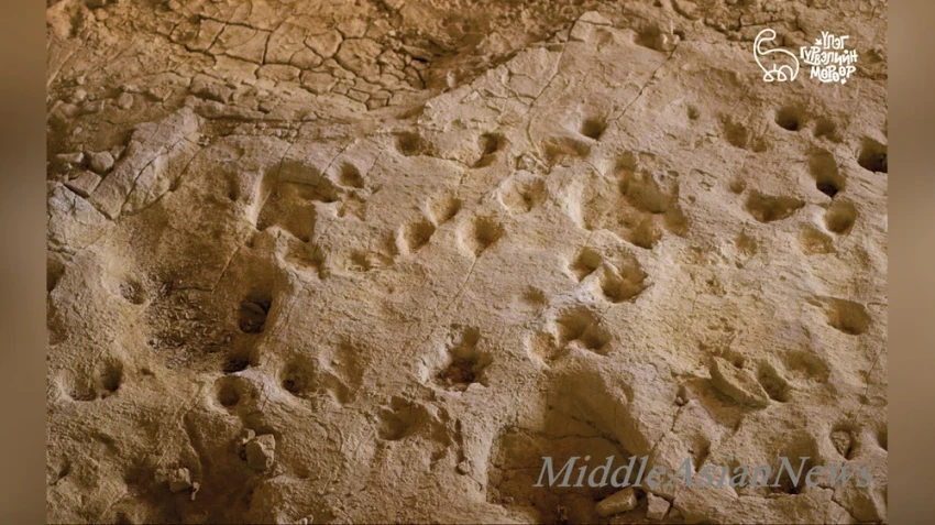 Монгольский регион Шар-Цав войдет в список глобальных геопарков ЮНЕСКО