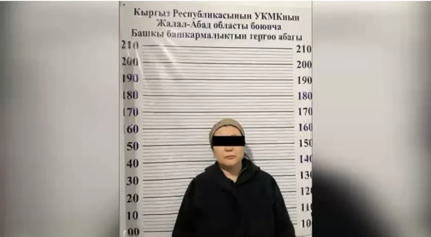 Жительница города Манас организовала на дому «черный ломбард». Проценты по займам превышали 150%