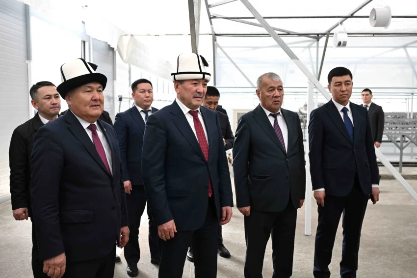 Глава кабмина и мэр Оша проверили строительство дороги Ош — Кара-Суу и теплицы